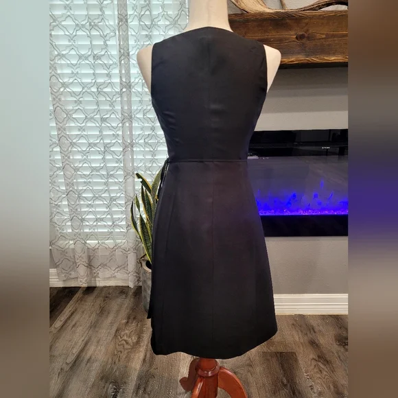 ANN TAYLOR Dress Size 2P 100% Silk in prestige condition - Picture 5 of 7